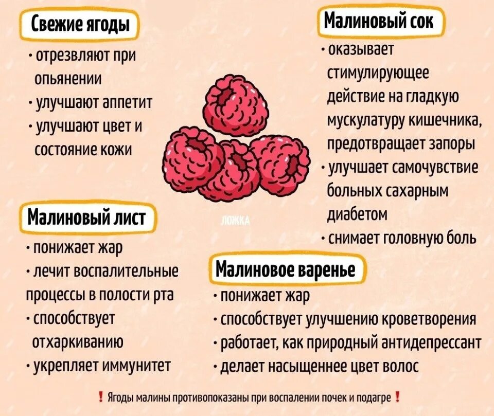 Малина польза. Малина полезные свойства. Малина полезные свойства ягоды. Полезные свойства Малин.