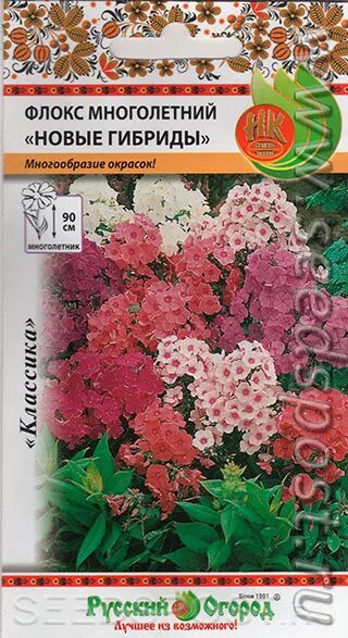 Как собрать семена флоксов многолетних. Флокс семена многолетник гавриш. флокс метельчатый семена. флокс метельчатый семенами многолетние. семена многолетних флоксов метельчатых.