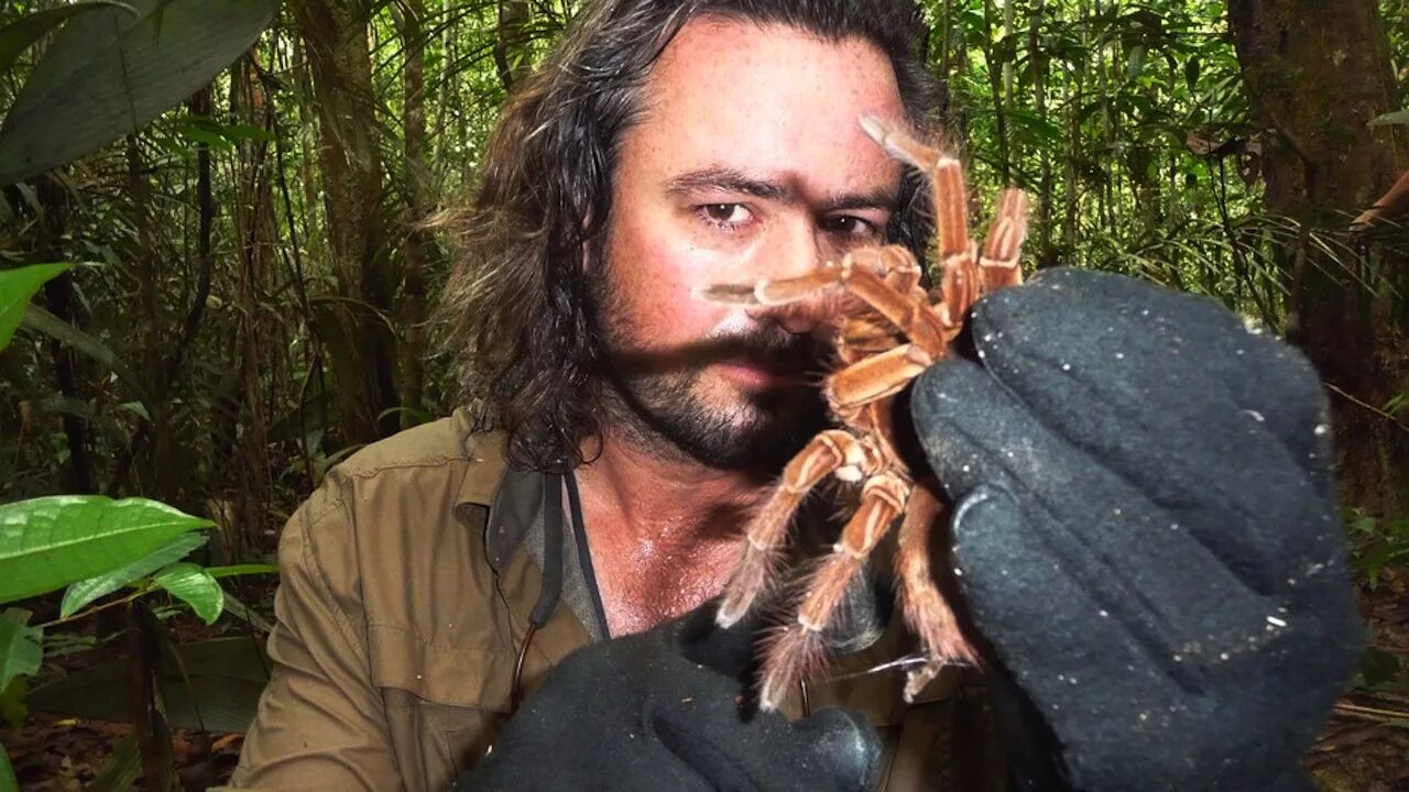 Terrifying Photo Of Giant Spider Nicknamed Charlotte Goes Viral 5newsonline.com