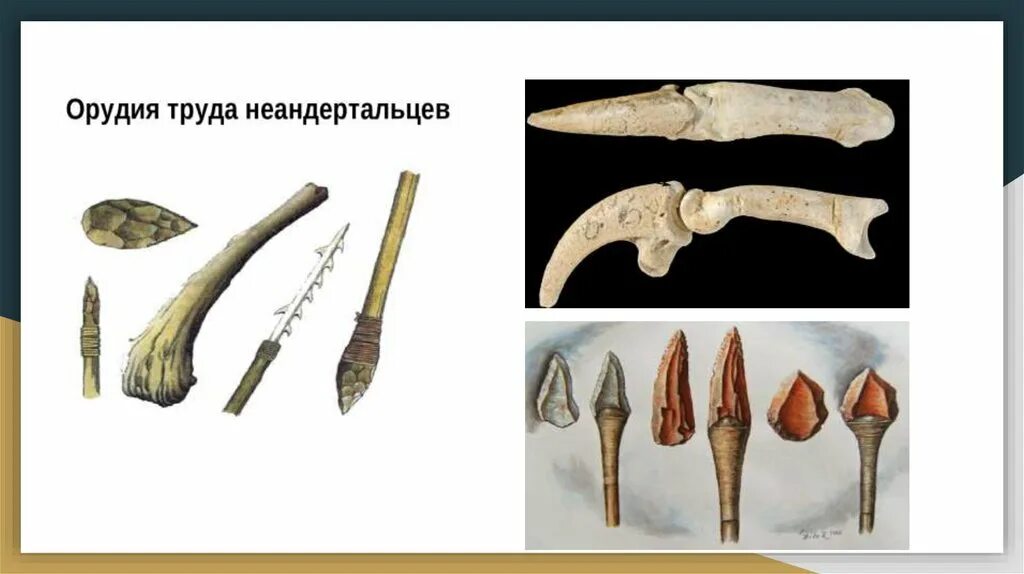 Составные орудия труда и охоты. Орудия труда неандертальцев. человек неандерталец орудия труда. древние люди неандертальцы орудия труда. палеоантропы орудия труда.