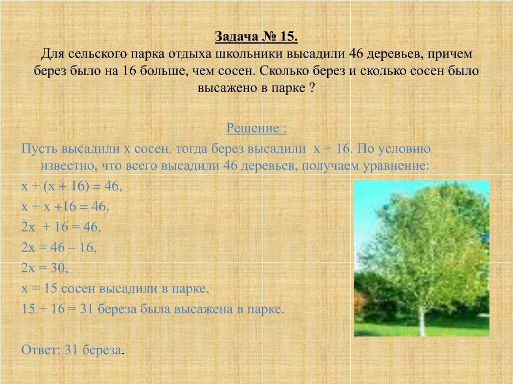 6 метров береза. Задачи по высадке деревьев. Задача про сосны. Задачи по математике с экологическим содержанием 5 класс. Задачи с экологическим содержанием по математике 2 класс.