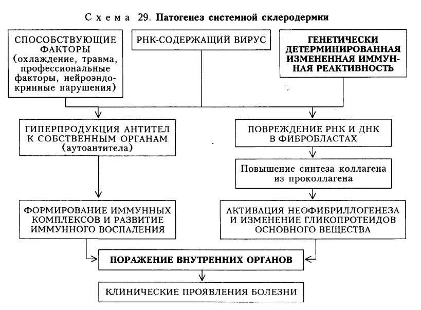 Системная склеродермия этиология. Системная склеродермия этиология. Системная склеродермия этиология патогенез. Провоцирующий фактор склеродермии. Патогенез системной склеродермии схема.
