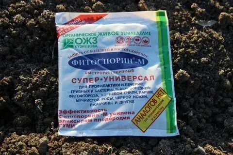 Обработка фитоспорином