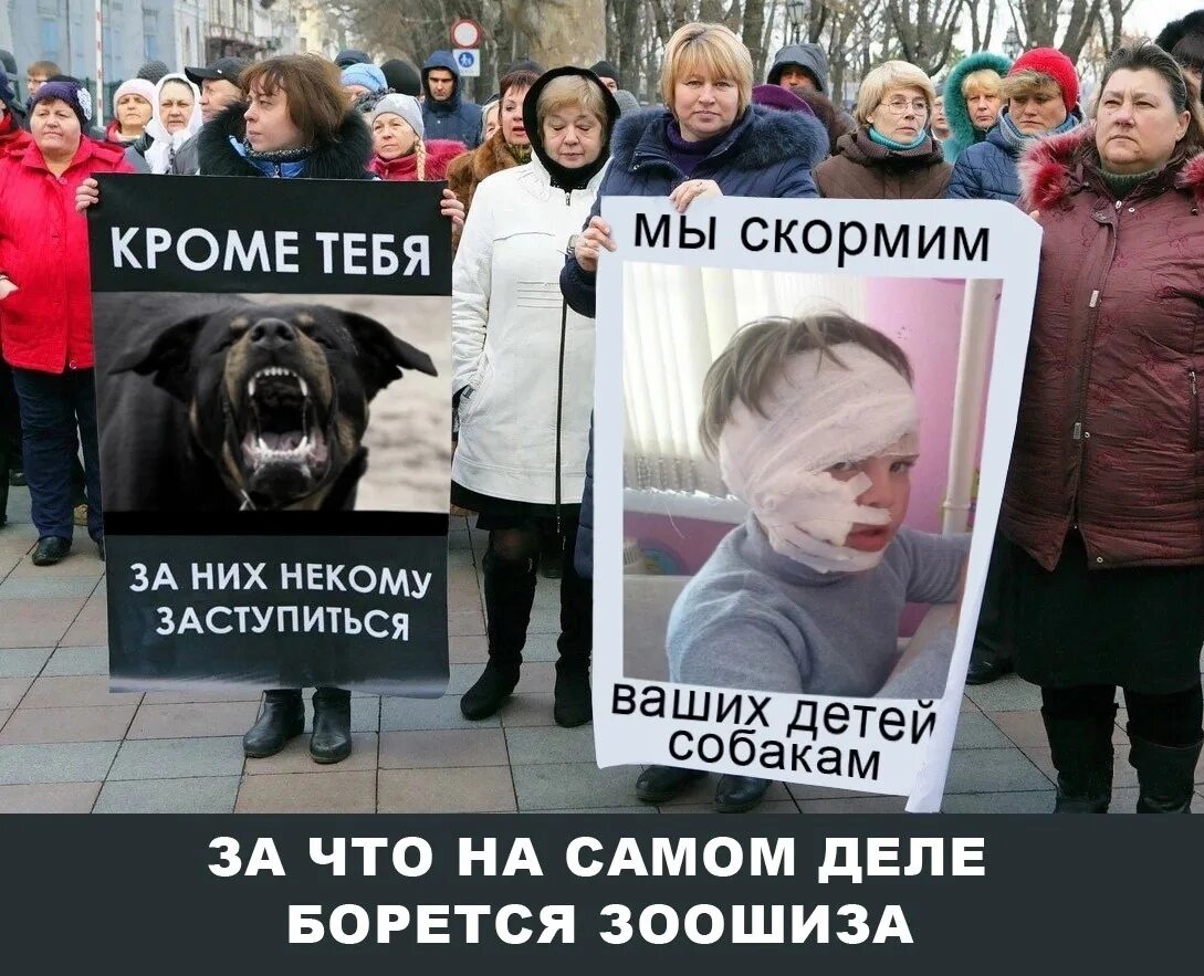 Ненавижу собак. Ненавижу собак
