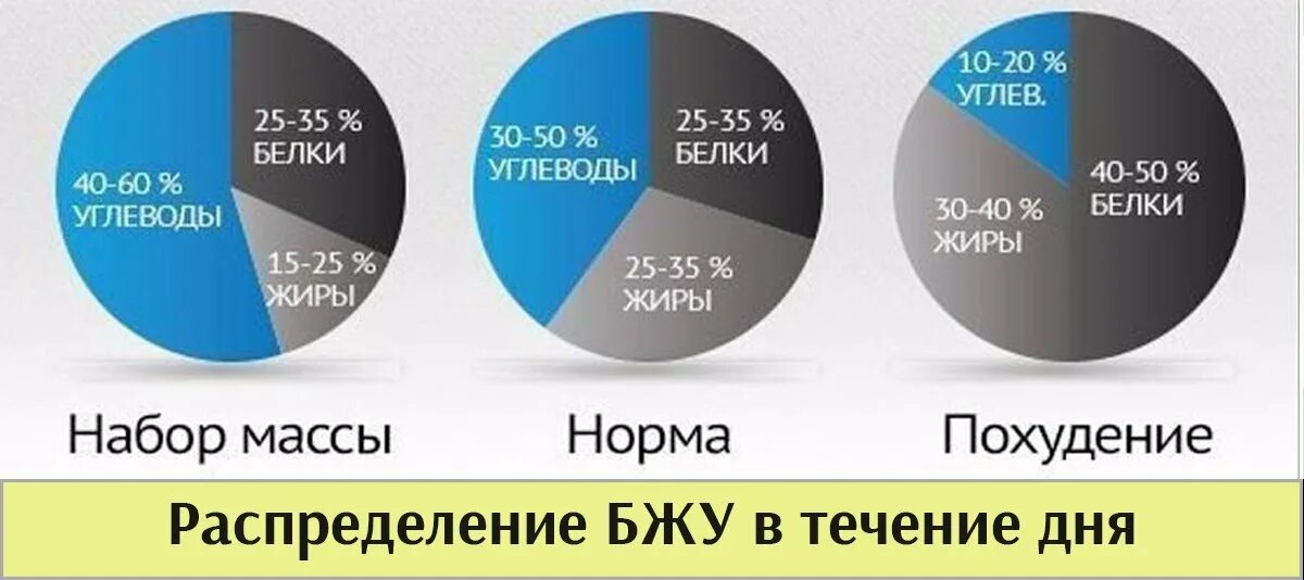 Сколько белков надо в день мужчине. Соотношение белков жиров и углеводов в рационе. Соотношение белка жира и углеводов в рационе. Соотношение белков жиров и углеводов на набор мышц. Жиры белки углеводы соотношение в рационе.