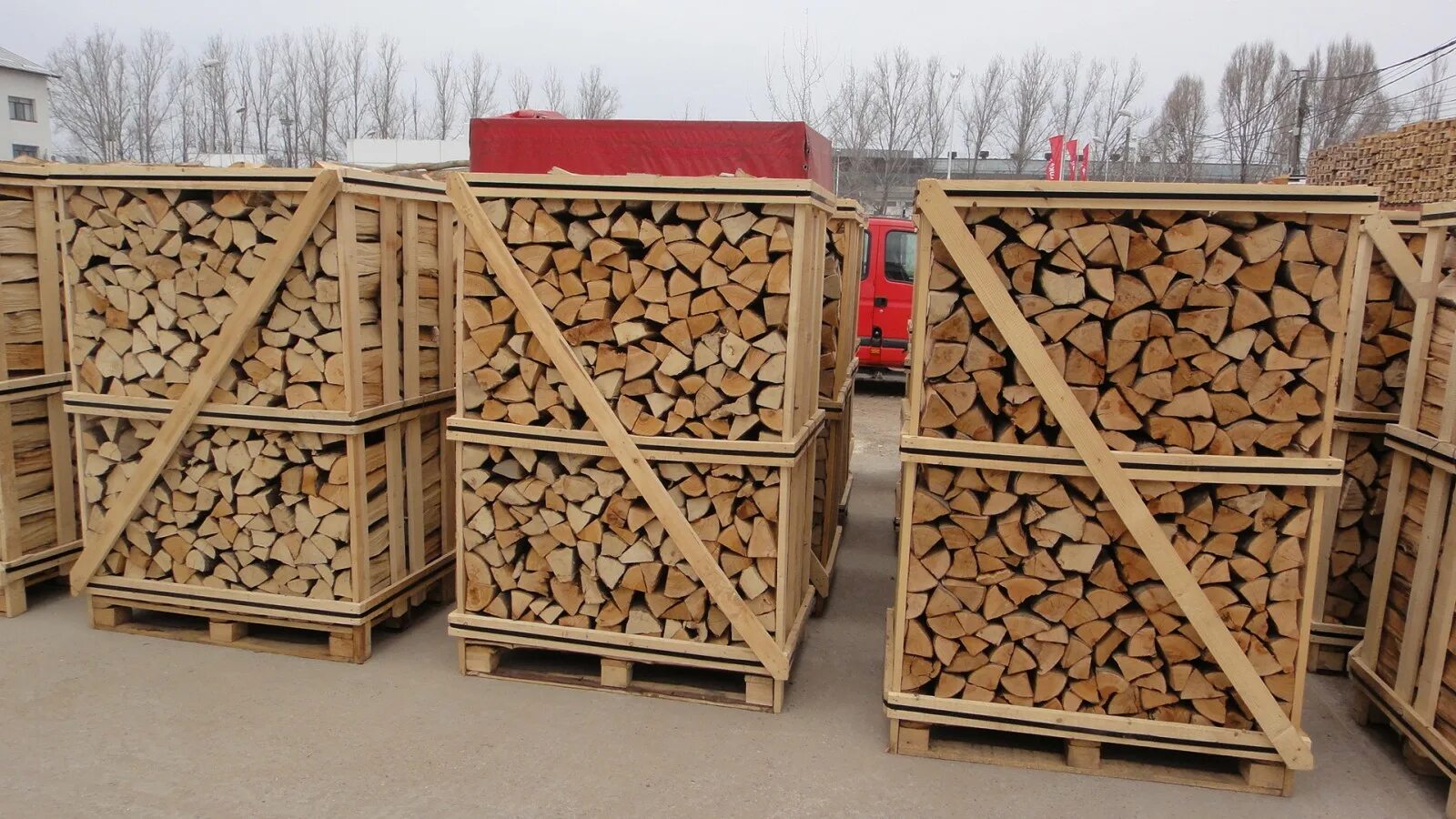 Дрова на поддонах. Кубометр дров стоит. Березовые дрова. Куб дров. 1 кубометр дров.