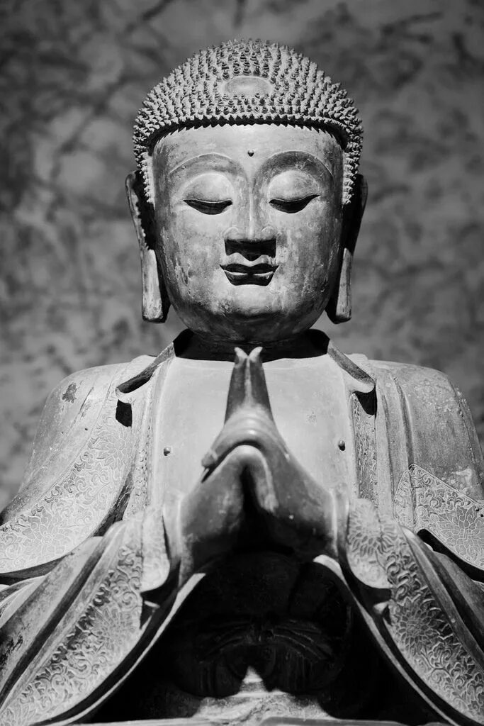 Мудры будды. Мудра Уттарабодхи Будда. Мудра Будды Шакьямуни. Уттарабодхи мудра мудра просветления. Буддийские жесты.