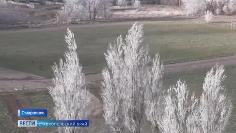 Потепление на ставрополье