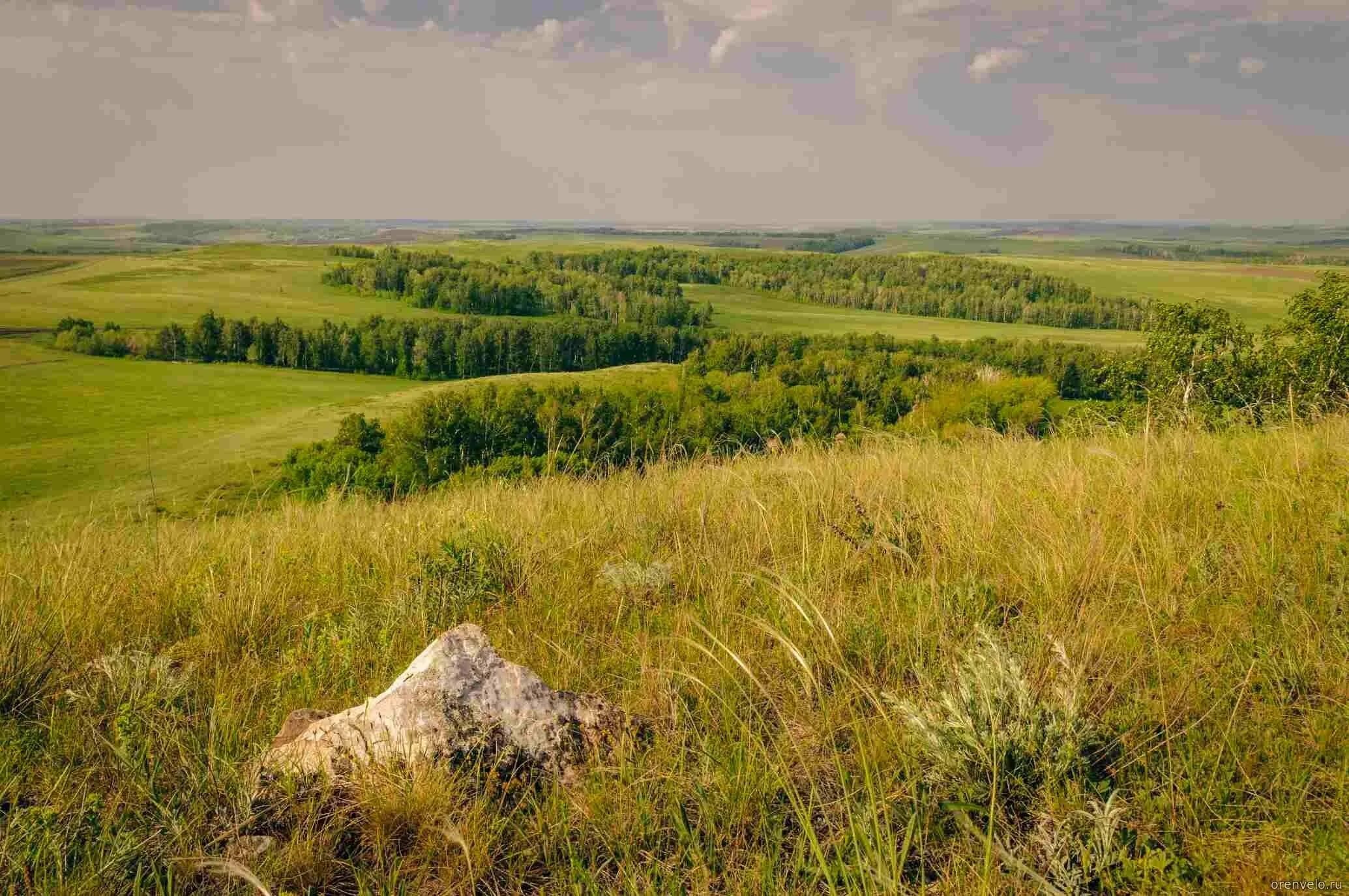 Село лбу и. Гора Медвежий лоб Оренбургская область. Переволоцкий район гора Медвежий лоб. Гора Медвежий лоб Арапова гора Переволоцкий район. Гора сырт Оренбургская область.