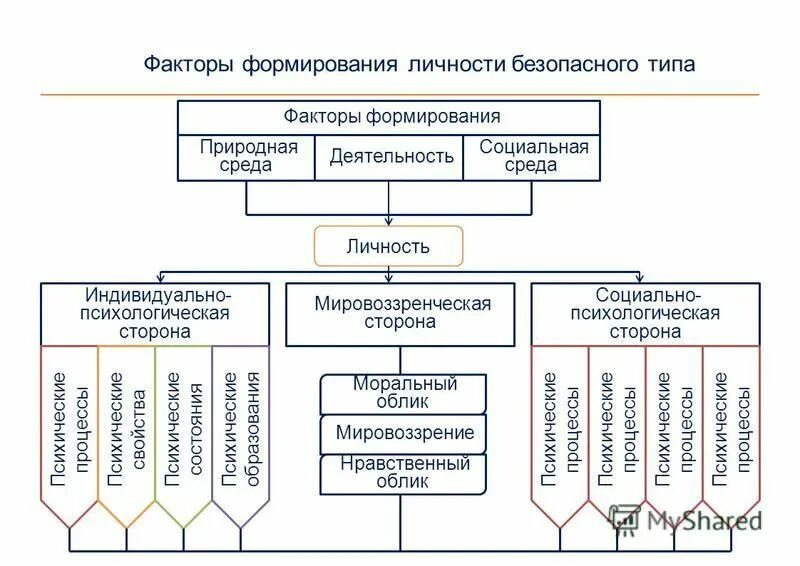 Среда и воспитание личности