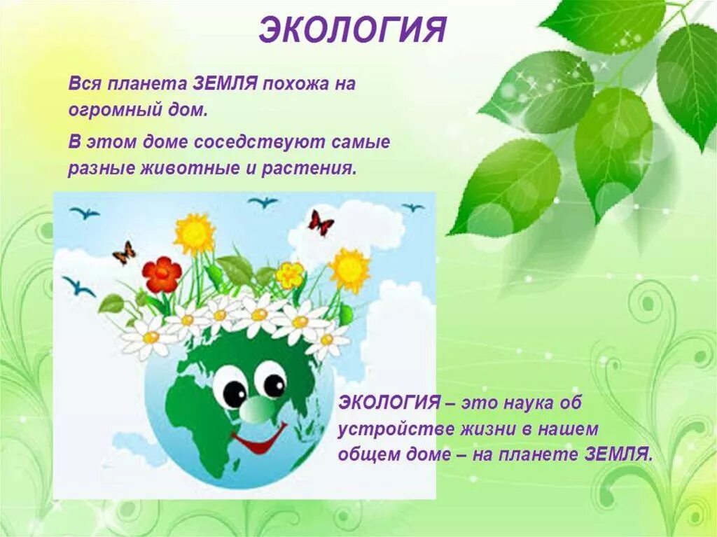 Экология презентация 4 класс. Экология для дошкольников. Экология для детей дошкольного возраста. По экологии для дошкольников. Экологические праздники.