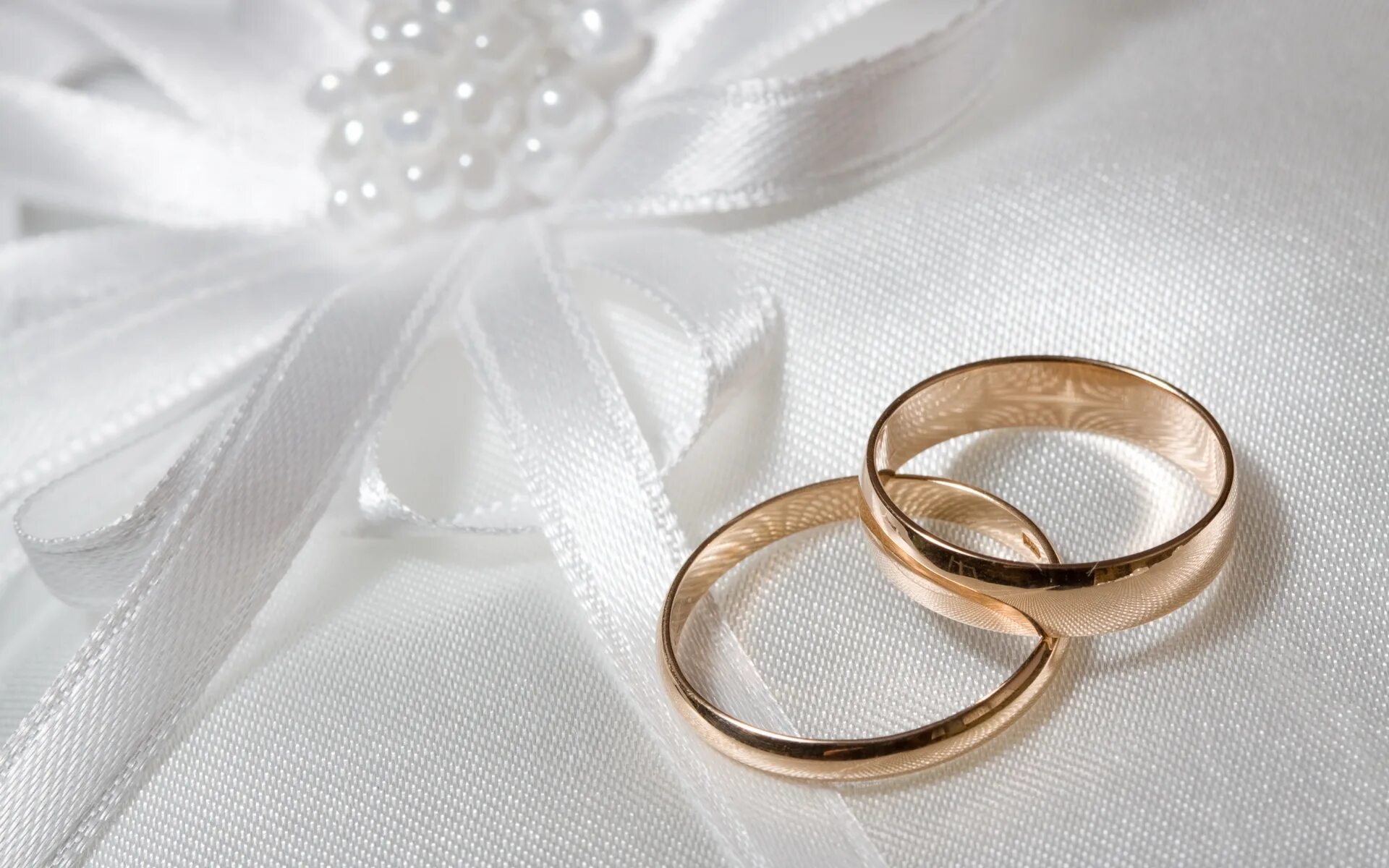 Картинки свадьба 2024 Download wallpaper flowers, roses, flowers, engagement rings, roses, wedding rin