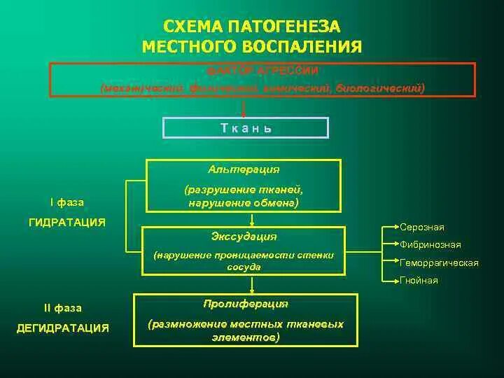 Основной фактор в патогенезе воспалительного отека. Основной фактор в патогенезе воспалительного отека