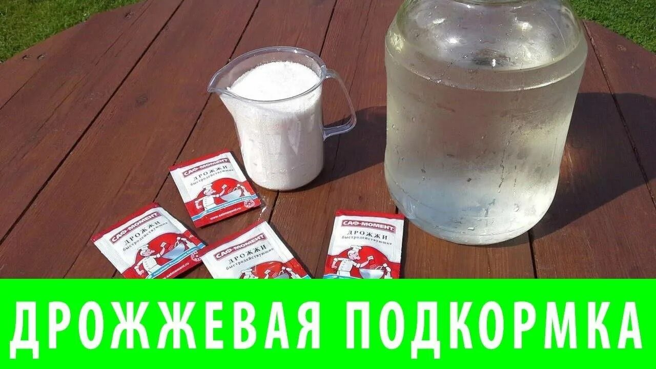 Как развести дрожжи для томатов