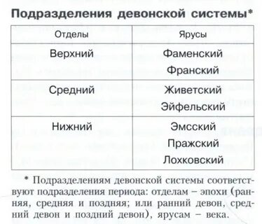 Система отдел ярус