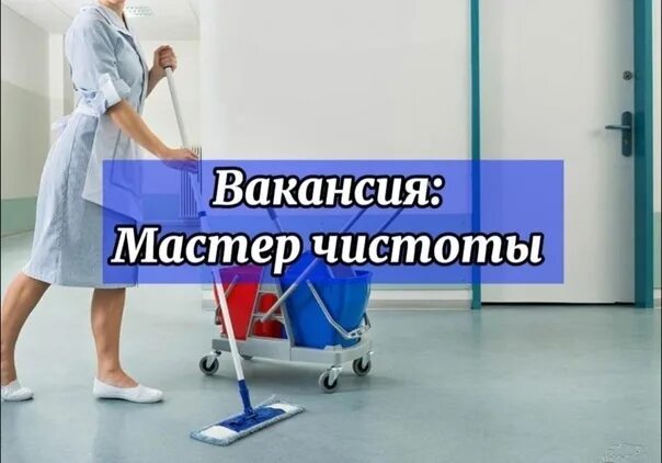 Авито работа мастер чистоты. Требуется мастер чистоты. вакансия мастер чистоты. требуется мастер чистоты картинки. объявление требуется мастер чистоты.