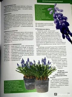 Описание растений книга