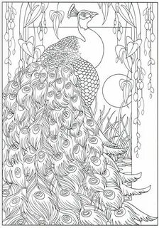 Coloring book pdf