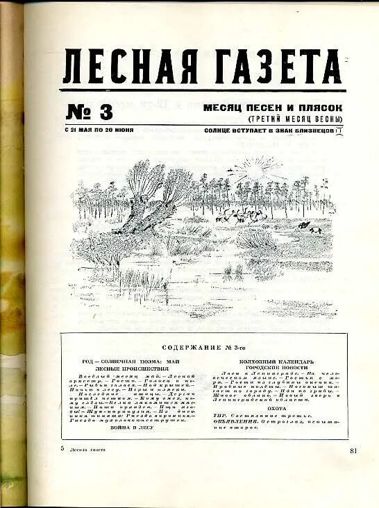 Лесная газета. Рассказ из Лесной газеты. Книга Лесная газета. Бианки в. в. "Лесная газета". Месяца лесной газеты