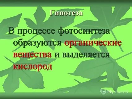 В процессе фотосинтеза кислород образуется при расщеплении