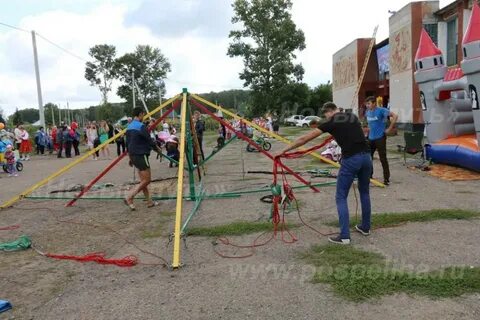 Погода николаевка алтайский край поспелихинский