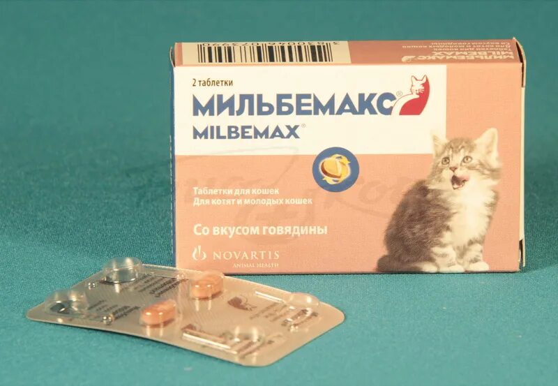 Таблетки глистогонные для кошек Мильбемакс. Глистогонка для кошек Мильбемакс. #(А)Мильбемакс антигельминтик д/кошек 2таб. От глистов Мильбемакс для котят. Gs для кошек купить