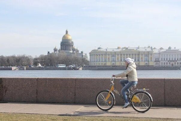 Велосипедист санкт-петербург. Велосипед с необычной рамой. Большеколесный велосипед паук. Питерские велосипеды. Питерские велосипеды.