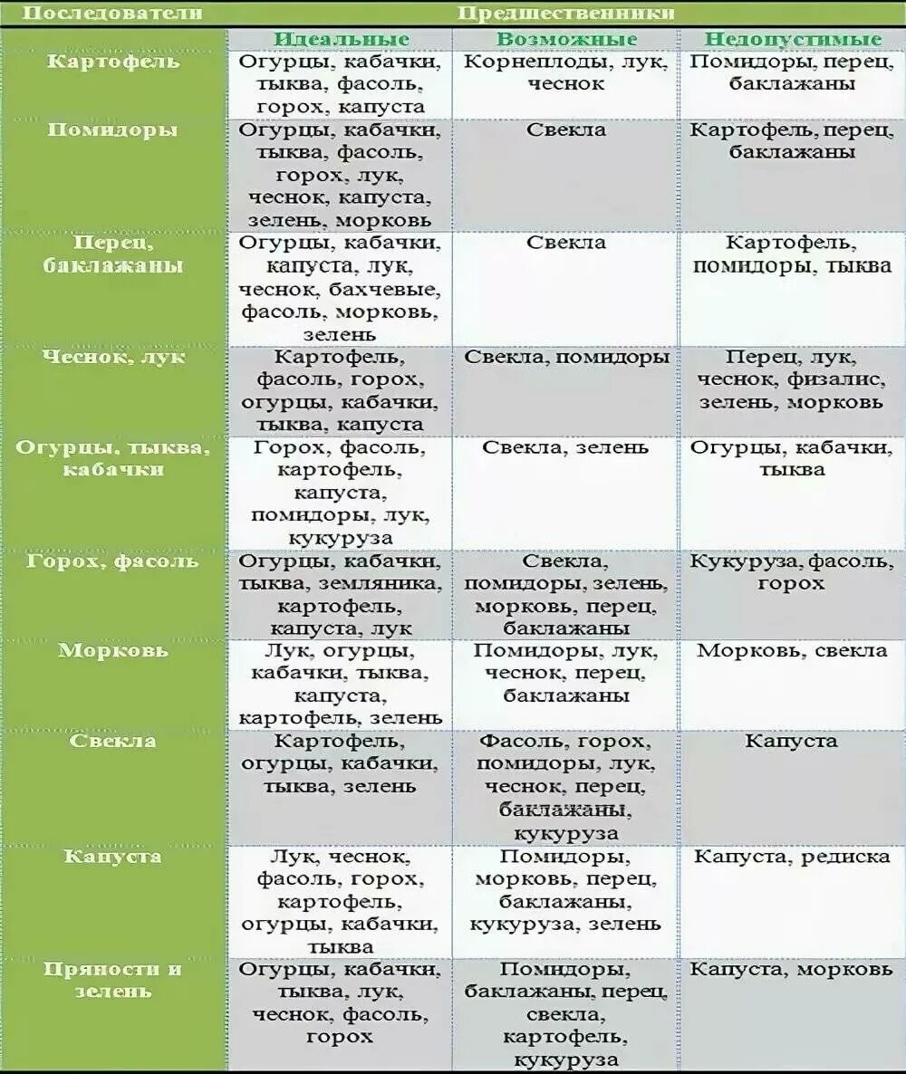 После чего можно посадить морковь. Посадка овощей предшественники таблица. Севооборот овощей в огороде таблица. Лучшие предшественники для посадки овощей таблица. Таблица севооборота овощных культур на огороде.