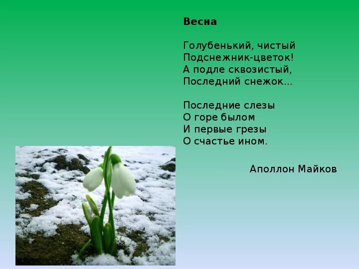 Стих про весну. Стихотворение о весне. Небольшой стих про весну. Проект 3 класс чтение время года