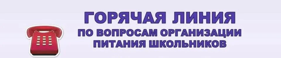 Горячая линия по вопросам организации питания в школах. Горячая линия питание школьников. Горячая линия по горячему питанию в школе. Горячая линия по вопросам питания в ДОУ. 80 вопросы организации