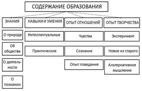 Общая характеристика содержания это