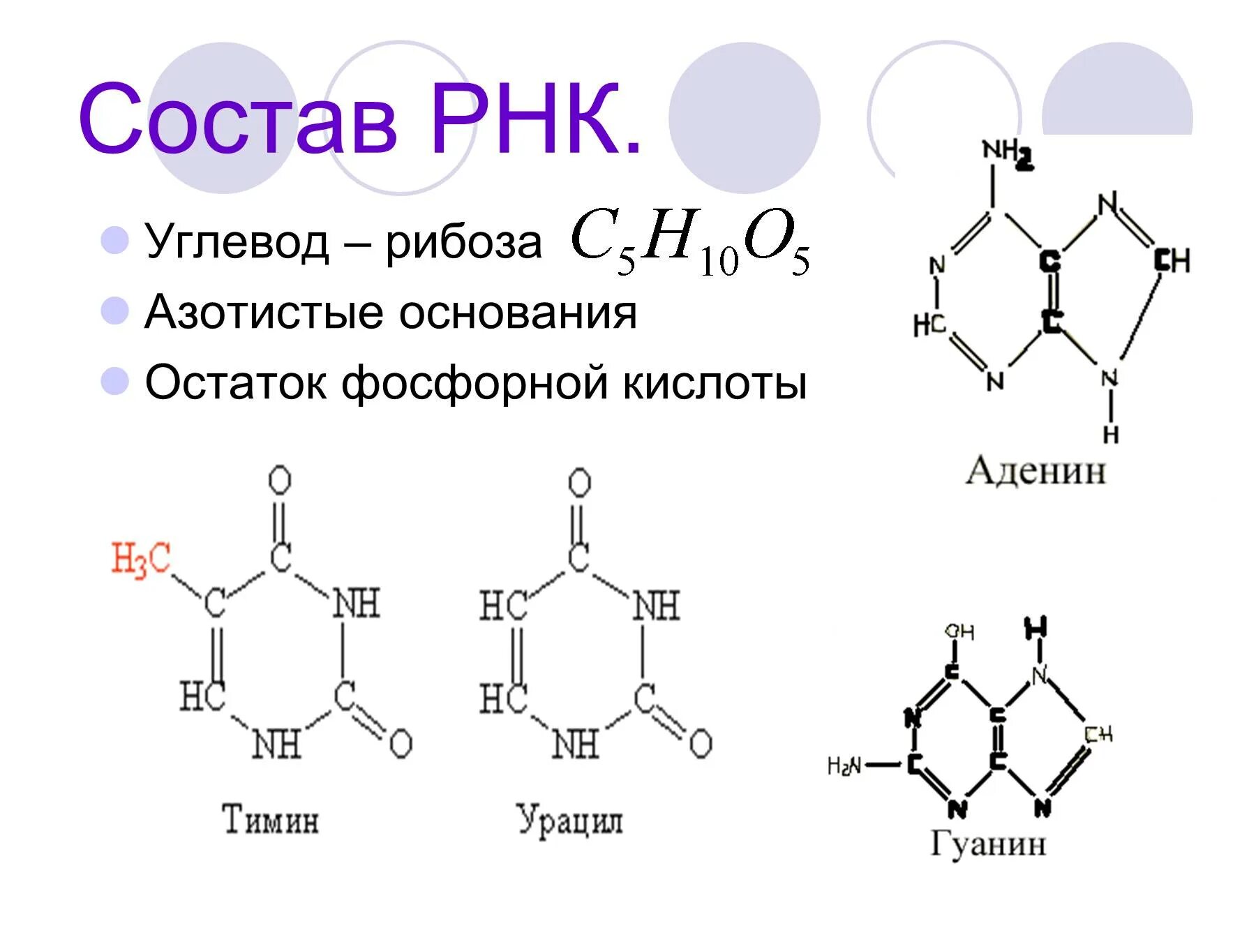 Структура РНК формула. Химический состав молекулы РНК. Химическое соединение входящее в состав РНК. Химическая структура РНК.