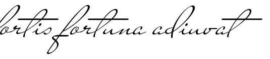 сопутствующий на латыни. тату удача сопутствует смелым. татуировка удача сопутствует смелым. тату моя жизнь. тату fortis.