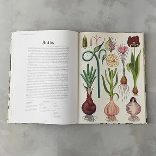Книга plants