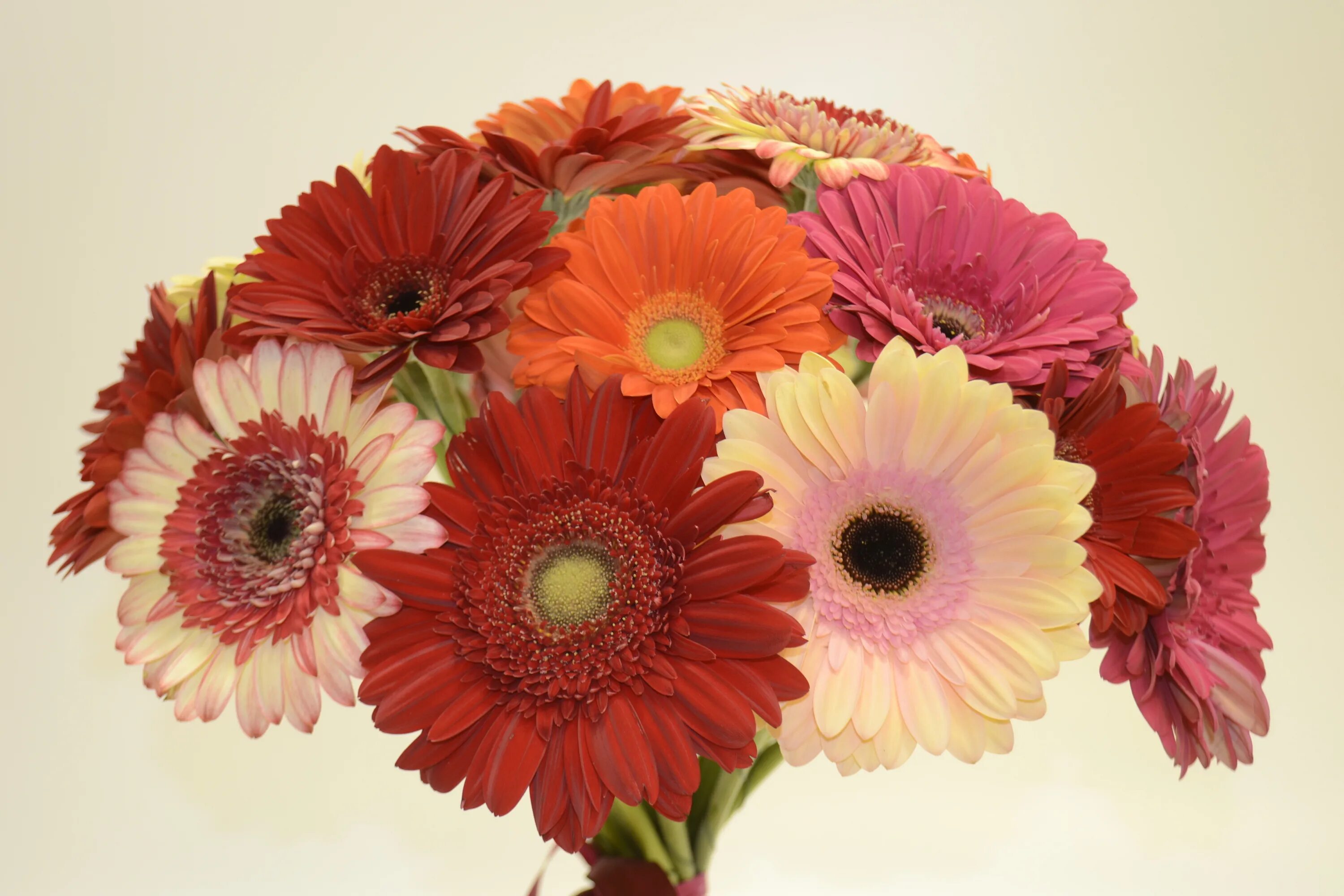 Extra flowers