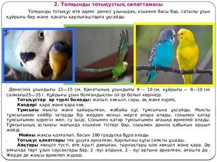 Биік өкшелі порно онлайн көру