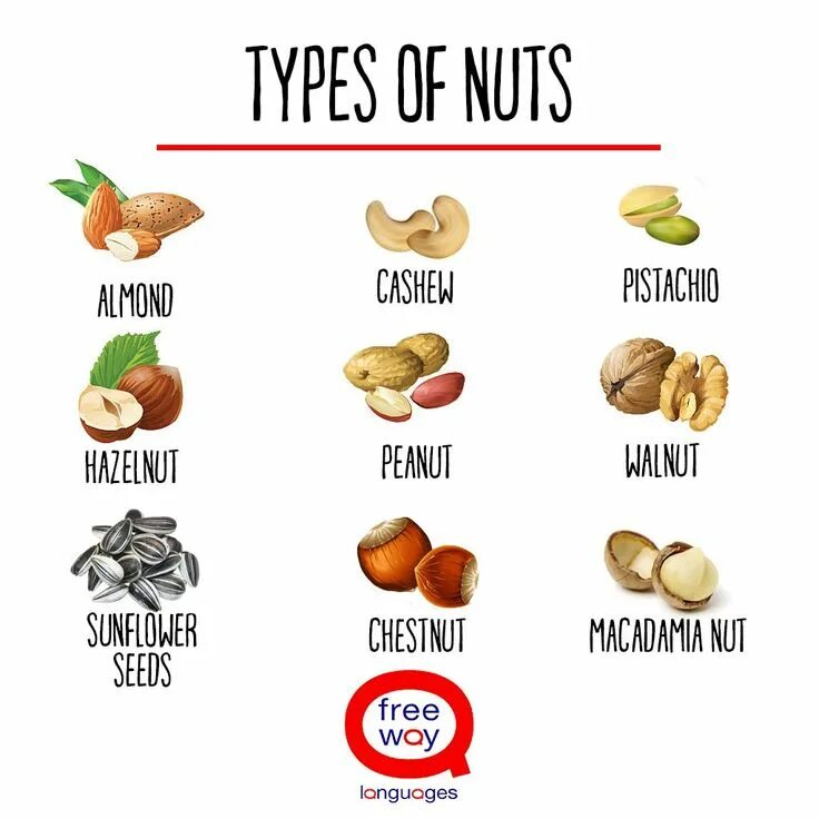 Как переводится nut. Орехи на англ. Nut на английском. Орехи виды и названия. Nuts на английском Vocabulary.