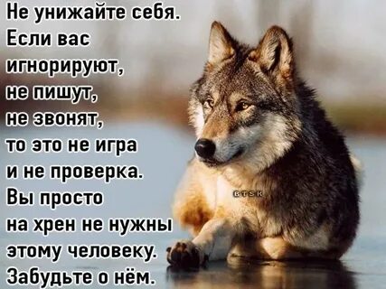 Как называют человека который не пишет