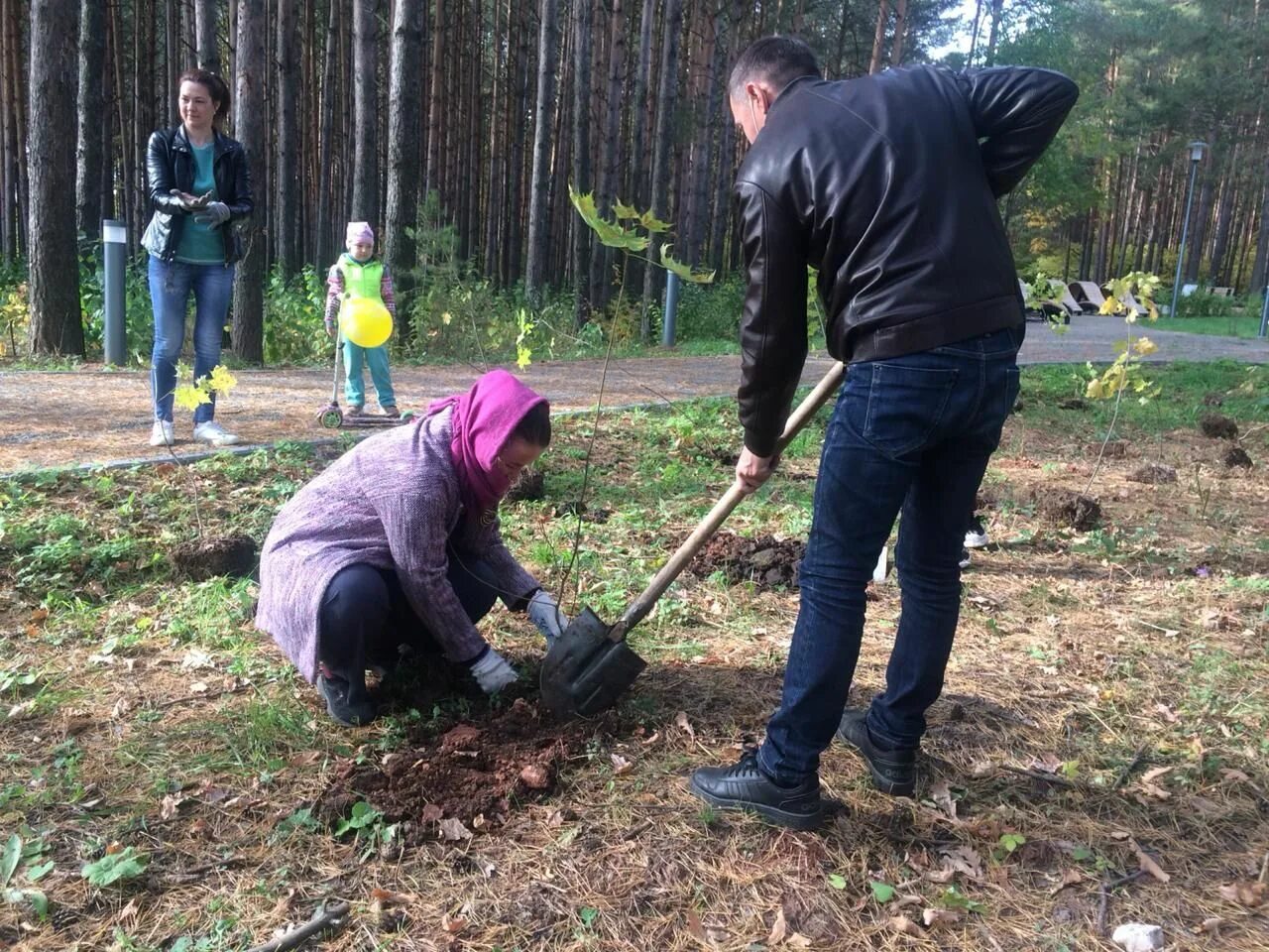 Дерево посажено подрумяненный. Посадка деревьев. Лесхоз садим деревья. Высадка деревьев ветераны. Школьники сажают деревья.