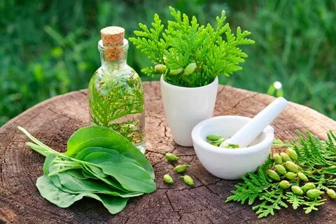 Травы лечение народными средствами