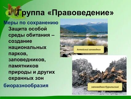 Принимал меры для сохранения