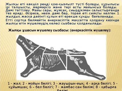 Жігіттің алғашқы секс фотосы