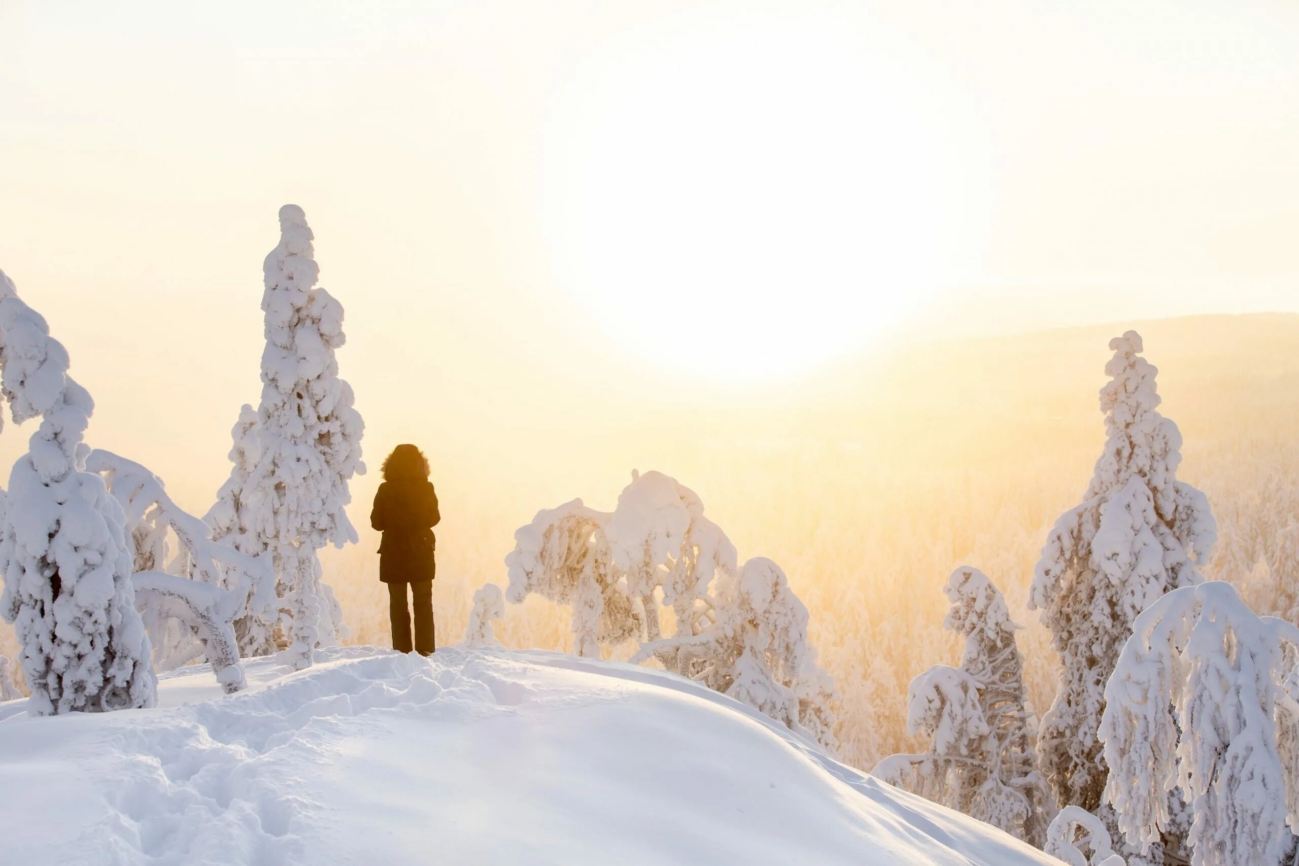 Карта температуры зимой 2022. Эта зима будет холодной или теплой 2023. Акция дари тепло. Зимой холодно летом тепло. Эта зима будет холодной или теплой 2023.