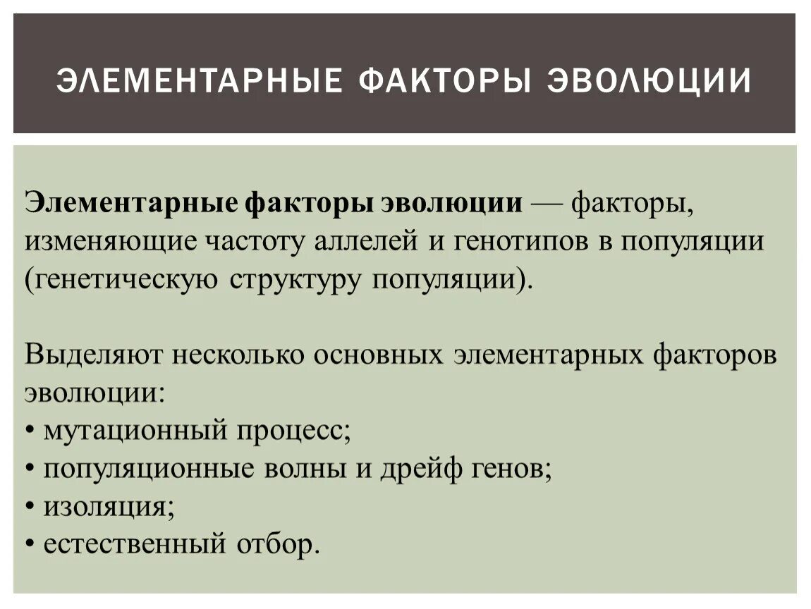 Многообразие элементарных эволюционных факторов. Элементарные факторы эволюции. Элементарные эволюционные факторы. Элементарные факторы эволюции презентация. Элементарные эволюционные факторы 9 класс.