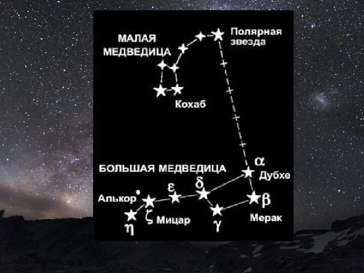 Большая и малая Медведица Полярная звезда. Полярная звезда и ее малая Медведица. Большая едведица и малая Медведица Полярна язвезда. Созвездие малой медведицы с названиями звезд. Какая звезда относится к какому созвездию