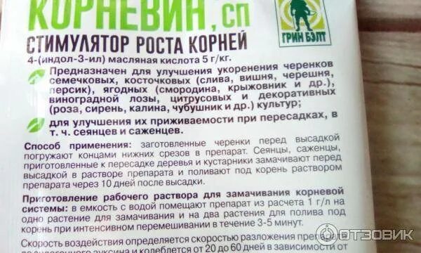 Можно ли поливать рассаду корневином после пикировки. Регулятор роста корневин. Удобрения для укрепления корневой системы рассады. Состав корневина для растений.