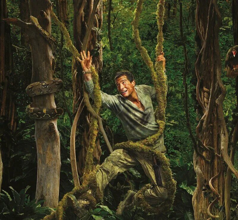 Путники медленно пробирались в глубину лесной чащи. Человек в джунглях. Древние джунгли. Картина джунгли. Пробирается сквозь джунгли.