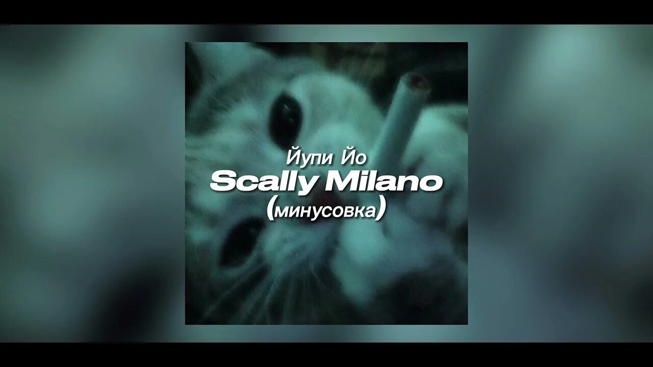 Скалли милано и 163onmyneck. Йупи йо скали милано. Scally milano йупи йо. Йупи йо scally milano где послушать. Йупи йо скали милано.
