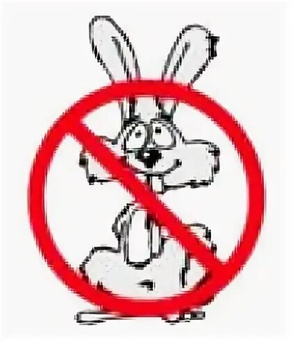 Зайцев. Зайцев приложение. Zaycev. Зайцев нет картинки. Музыкальное приложение зайцев.