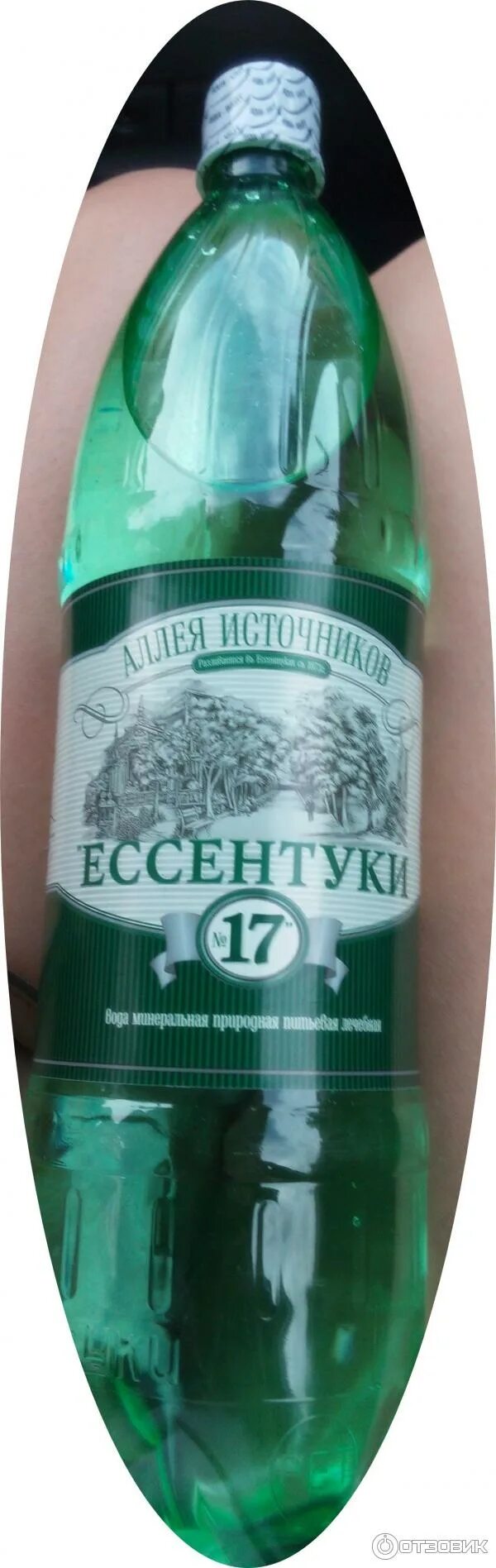 Нагутская 26 аллея источников мин вода. 0,5л аллея источников. Аллея источников 17 отзывы. Вода аллея источников 17 отзывы минеральная. Аллея источников ессентуки 17.